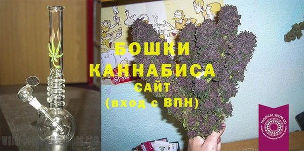 крисы Пересвет