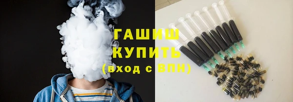 индика Переславль-Залесский