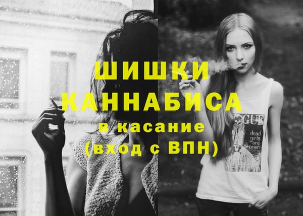 крисы Пересвет