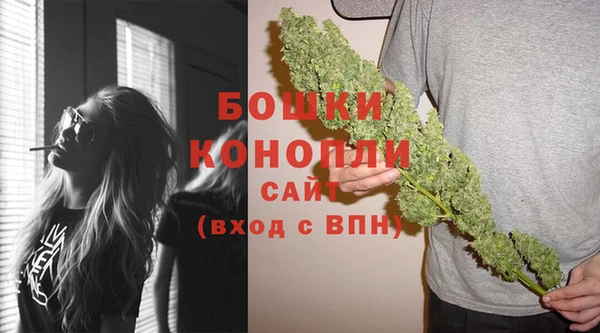 крисы Пересвет