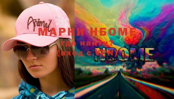 индика Переславль-Залесский