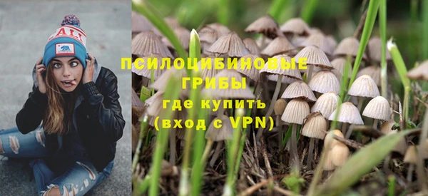 PSILOCYBIN Осинники